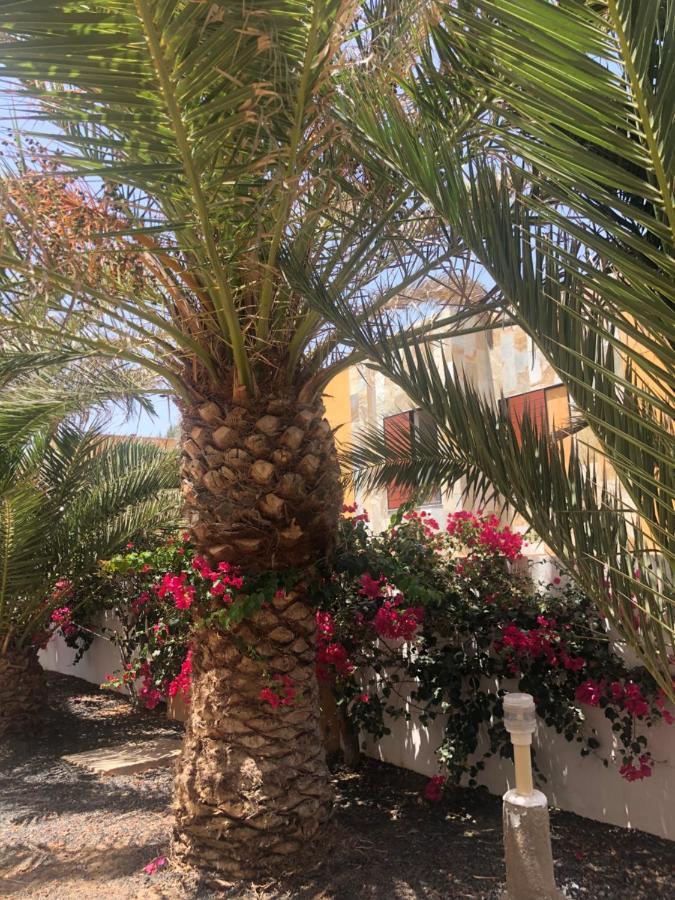 Apartamento Le Soleil De Fuerteventura Costa De Antigua Extérieur photo